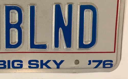 Vanity DUMB BLONDE license plate joke stupid idiot hair color cute bombshell IQ - 第 6/12 張圖片