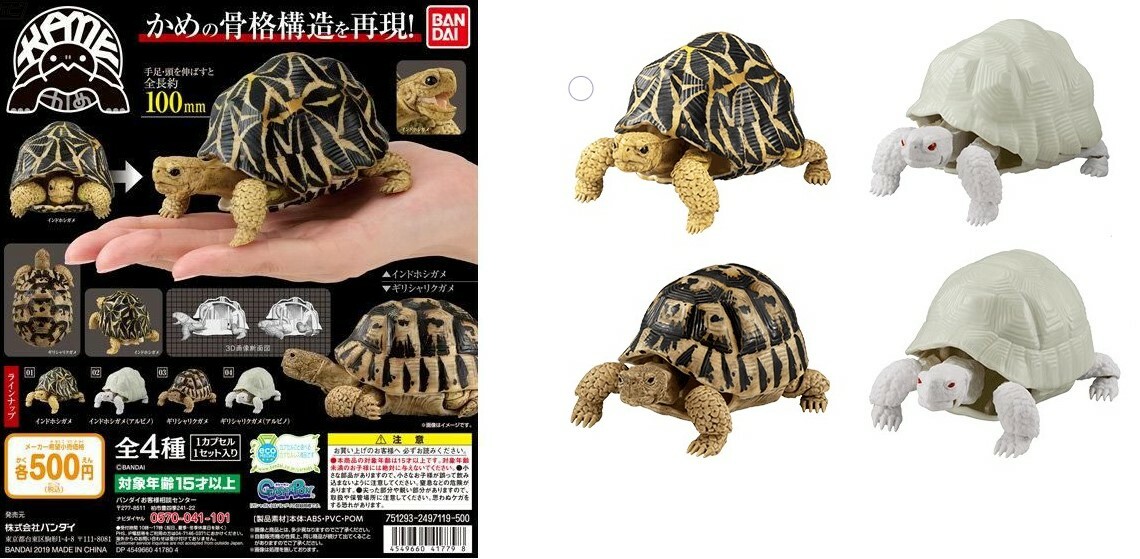 New Bandai Dango Mushi Gashapon Kame Part 1 tortoise