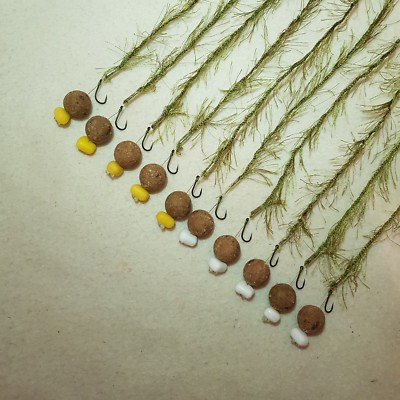 10 x UNKRÄUTEREFFEKT HAARRIGS BELADEN MIT 15 MM TIGERNUSS BOILIES FLYNSCOTMAN