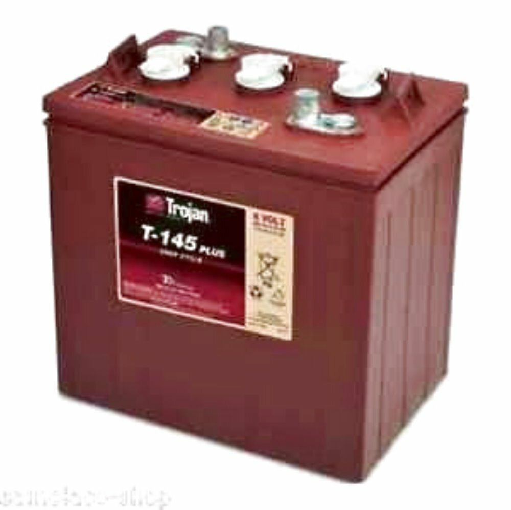 T145 TROJAN T145+ 6V 260Ah (C20), Deep Cycle, Batteria al Piombo per uso ...