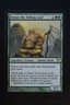 Magic The Gathering MTG DOSAN THE FALLING LEAF Champions of Kamigawa LP Played
