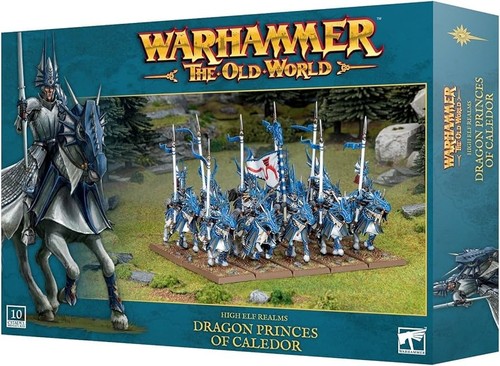 Warhammer TOW High Elf Realms Dragon Princes of Caledor Box Damaged