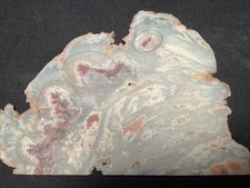 ~RW~ ORIGINAL/PREMIUM "CAREY PLUME AGATE" SLICE ~~ PERSONAL COLLECTION