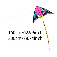 Delta Kite,Easy to Fly,Creative,for Beginners Professional,Sturdy,with Tail