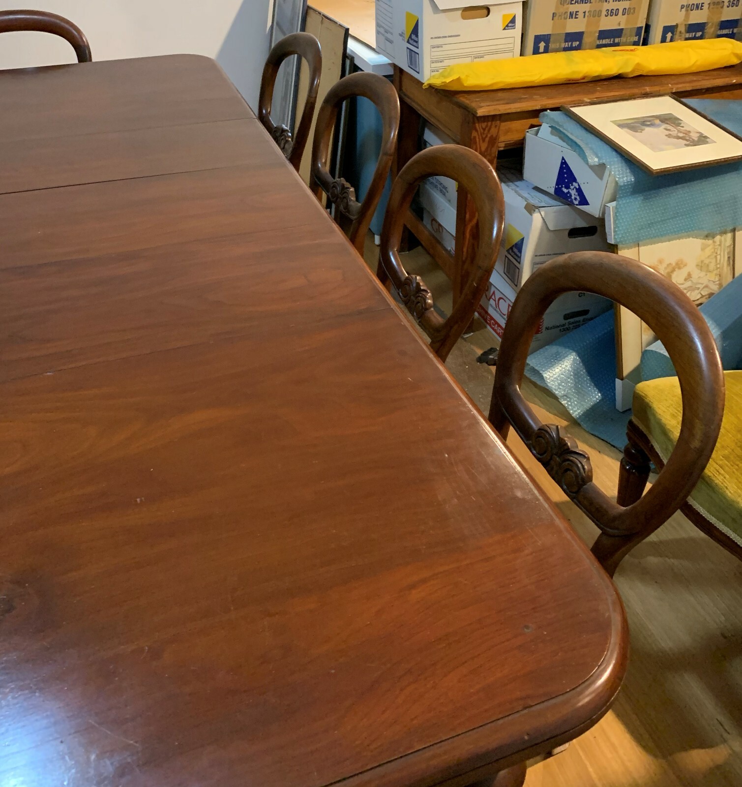 AUSTRALIAN ANTIQUE 1860s VICTORIAN MAHOGANY EXTENTION TABLE AND 11