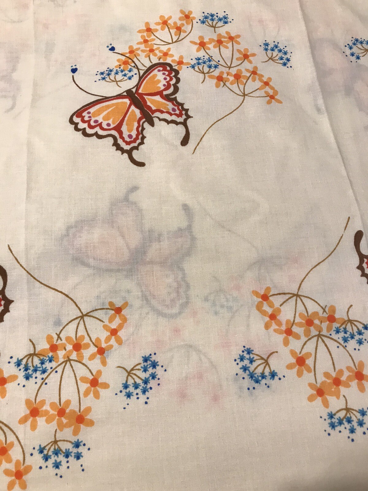 Picture 6 of 7