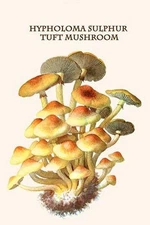 Hypholoma Sulphur Tuft Mushroom Edmund Michael Poster Print