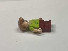 LEGO Shaggy Rogers Minifigure two facial expressions Scooby Doo