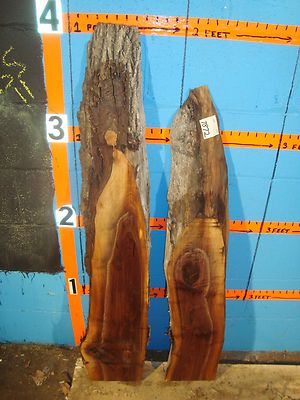 # 7872  2, Black Walnut Live Edge Slabs lumber craft wood 