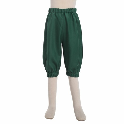 Medieval Kids Outfit Suit Coat Pants Shorts Breeches Vest Steampunk Costume - Picture 15 of 24