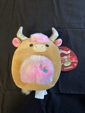 Candela Highland Cow Squishmallows 5" Kellytoy 2024 Stuffed Plush Animal