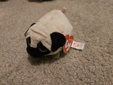 Ty Beanie Boos Teeny Tys 4" CANDY the Pug Dog Stackable NEW MWMTs Stuffed Toy