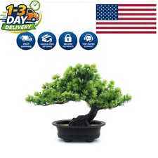 Stylish 9.5" Faux Bonsai Tree - Perfect for All Seasons, Low Maintenance Decor