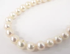 Genuine Akoya Pearl Necklace 7.2mm w/Box Free Shipping 52220232600 2