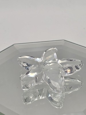 Swarovski Crystal Starfish Figurine From South Seas Collection Retired