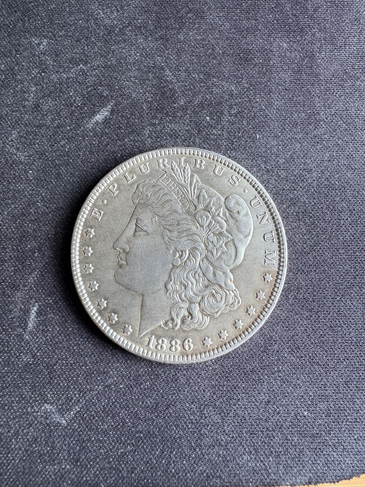 Picture 11 of 12