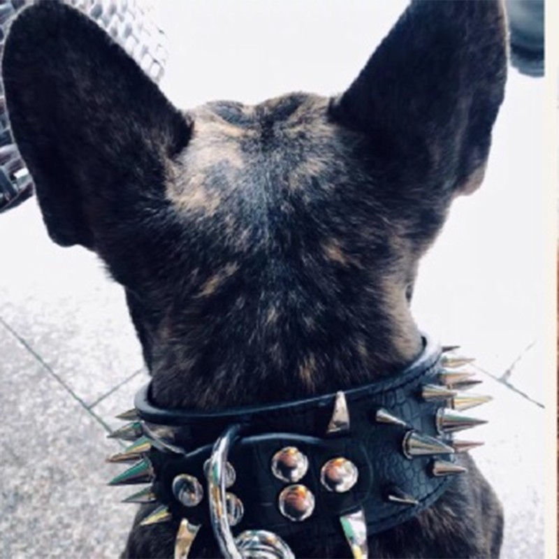 Stylish Spiked Studded Dog Collar For Medium Large Dogs Recommended
