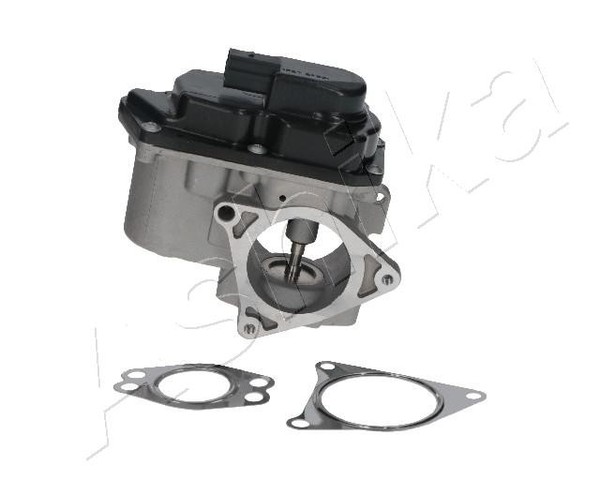 Ashika 150-00-0901 Agr-Ventil For Audi Seat Skoda VW-image