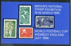 1966 WORLD CUP  ORIGINAL STAMP EXHIBITION GUMMED LABEL U/MINT VGC