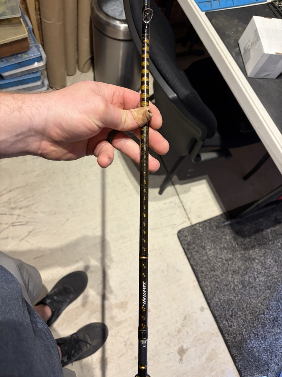 Daiwa AIRD X 701 MHFB Casting Rod. Nice | eBay