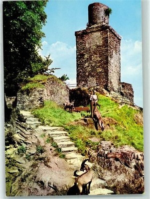 10250759 - 6240 Falkenstein Castle Falkenstein Capricorn Back with
