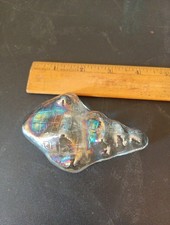 Clear Glass Sea Shell Paperweight Iridescent Beach House Decor Seashell