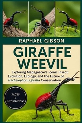 Giraffe Weevil: Exploring Madagascar's Iconic Insect: Evolution, Ecology, and th
