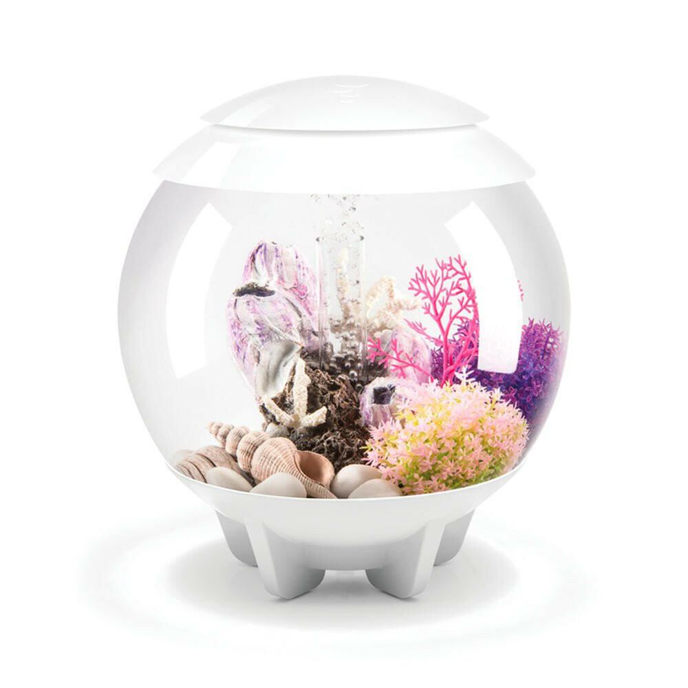 biOrb HALO 15 Aquarium
