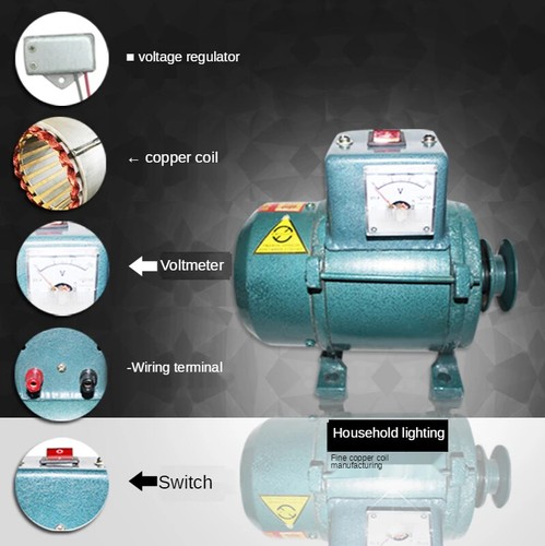 220V High-Power Permanent Magnetmotor Synchron Generator Bürstenlos Dieselmotor - Bild 6 von 7