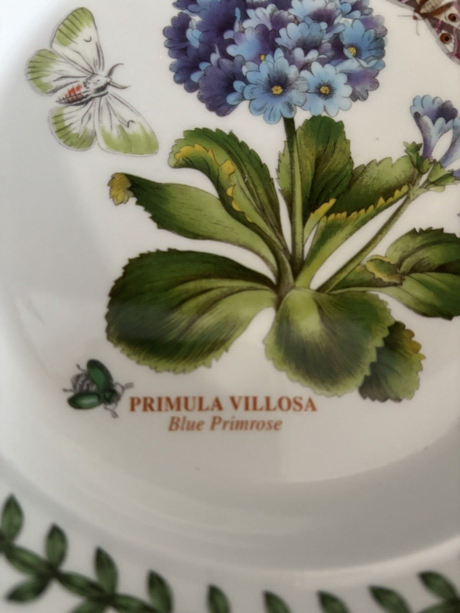 Portmeirion Botanic Garden ~ 7