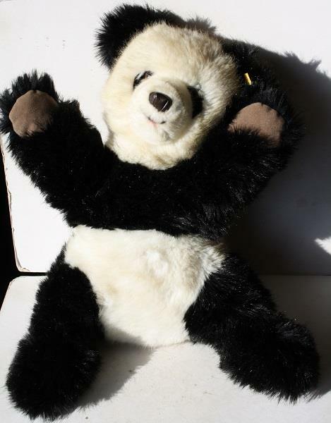 人気ブランドバ40代 Style Molly Bear Panda Steiff Larger Signed 0326/45 Size シュタイフ社