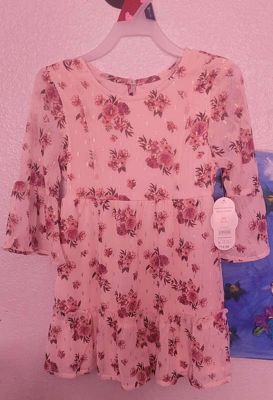 Cat & Jack Girls XS (4-5) Pink Floral Fit & Flare Dress Long Sleeve Ruffle