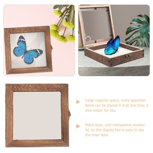 Wooden Frame Specimen Case Display Box Butterflies Insect Container - Picture 11 of 12