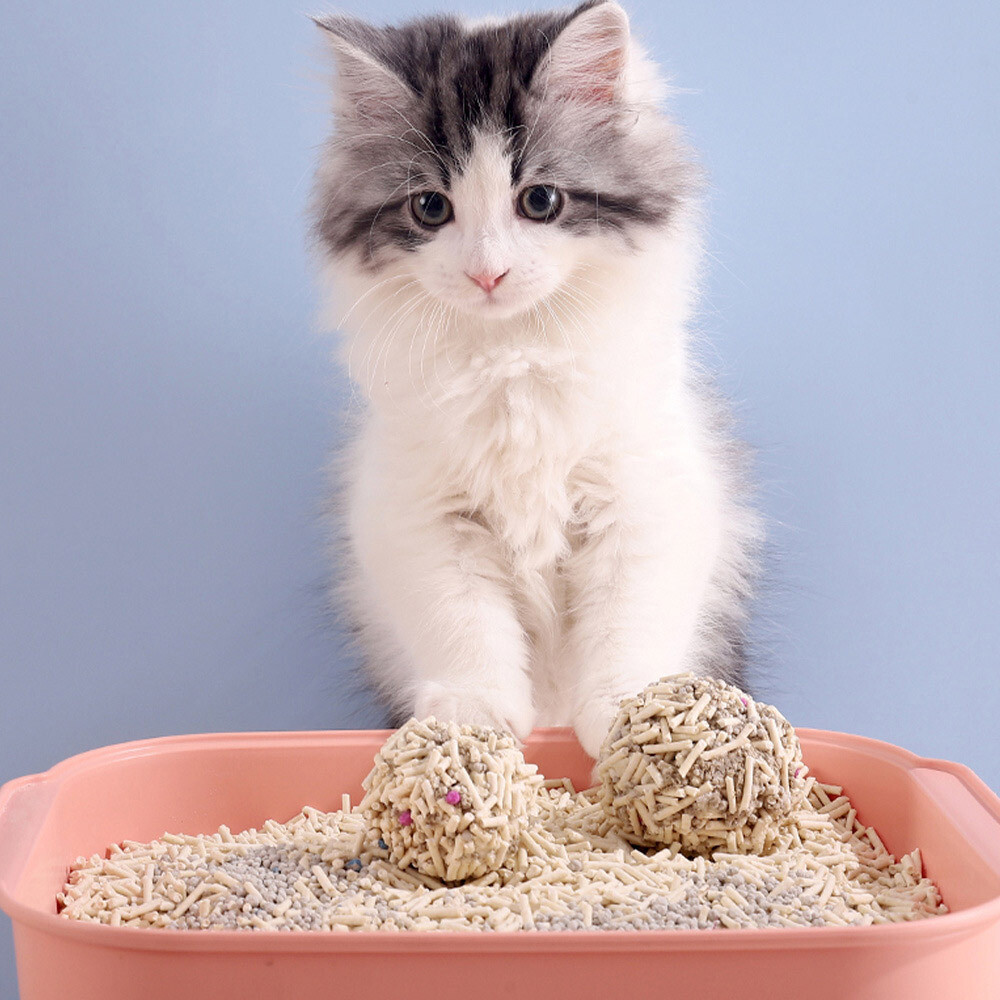 6L Tofu Clumping Cat Litter Flushable Biodegradable Eco Cat Litter Fresh  Scent