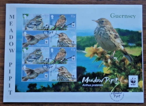 2017 Guernsey Meadow Pipit WWF Birds Souvenier sheet FDC