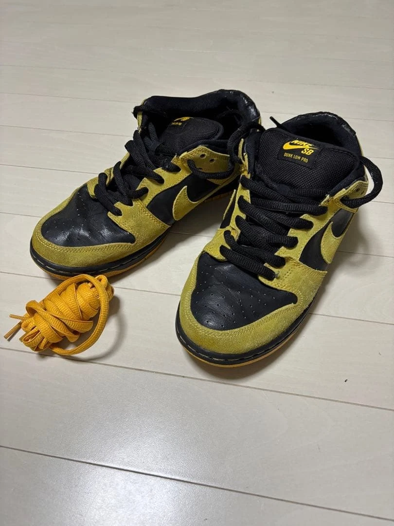 Nike SB Dunk Pro Low Iowa | eBay