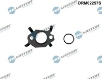 Dr.Motor Automotive DRM02257S Dichtungssatz, Agr-System For CitroËN DS Fiat Ford