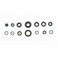 Parolio MotorgehäUse Monster 400/600/750/SPORT FüR Ducati Monster 400 95-97 4T