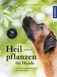 Thumbnail - Heilpflanzen Für Hunde - Alexandra Nadig - 9783440156063 Portofrei