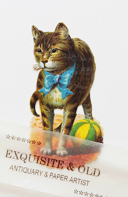 um 1900 Katze Ball Tier Glanzbild Prägedruck Ephemera Luxuspapier Deko Geschenk