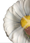 Bild 6 von 8