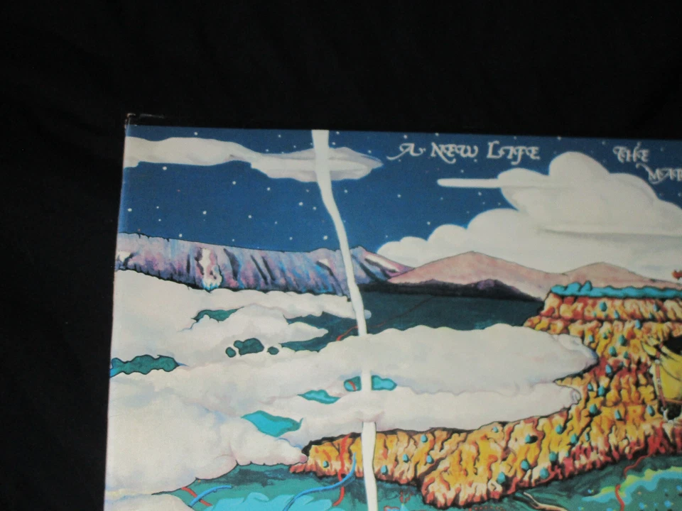 Marshall Tucker Band A New Life Sealed Vinyl Record LP 1974 USA Price Sticker - Image 2 of 4