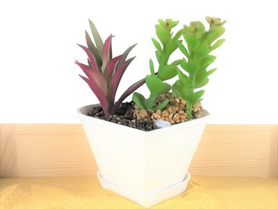Heart Shaped Flower Pot With Drainage Tray - Succulent Planter
