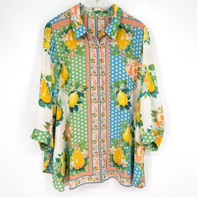 Rose + Olive Fruit Print Button Down Top Lemon Pear Polka Dot Blue Green 2X