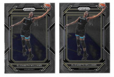 2023 PRIZM WNBA BASKETBALL ELIZABETH WILLIAMS #21 LOT OF 2,CHICAGO SKY