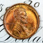 * 1916-P * PRISTINE+ BLAZING RED GEM BU MS LINCOLN WHEAT PENNY * FROM COLLECTION