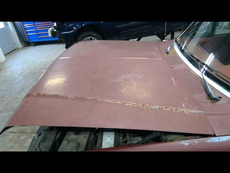 (LOCAL PICKUP ONLY) Hood Fits 87-91 BRONCO 1099644 Foto 3 de 4