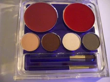 Estee Lauder Pure Color Lipstick BOIS DE ROSE Eyeshadow BRONZE CUBE Set 