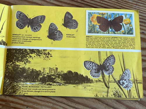 Brooke Bond British Butterflies Tea Cards Album Complete - Picture 2 of 3