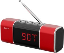Small Digital FM Radio with Bluetooth Speaker, Portable Rechargeable USB/SD Card
